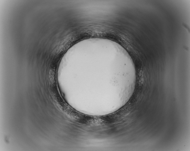 X0000099940695200806131425