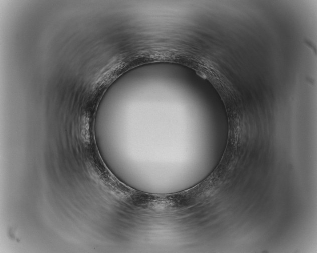 X0000099940696200806131425