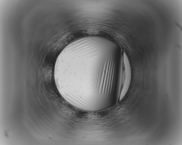 X0000099940697200806131425