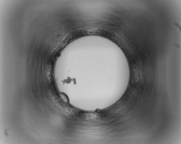 X0000099940698200806131425