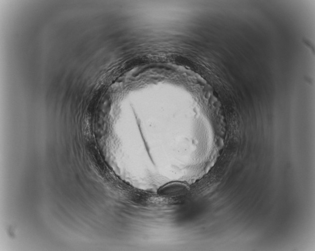 X0000099940699200806131425