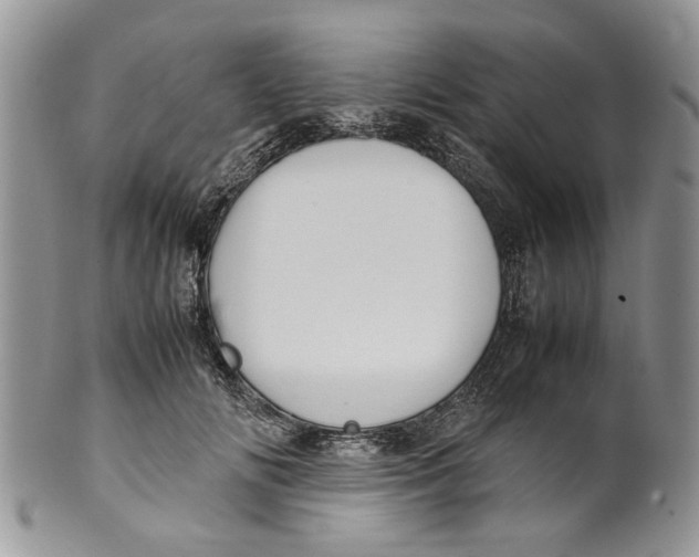 X0000099940702200806131425