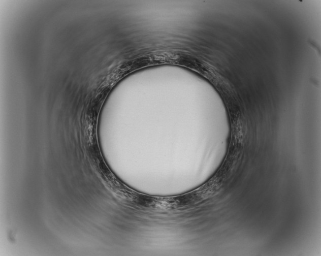 X0000099940703200806131425