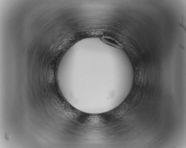 X0000099940704200806131425