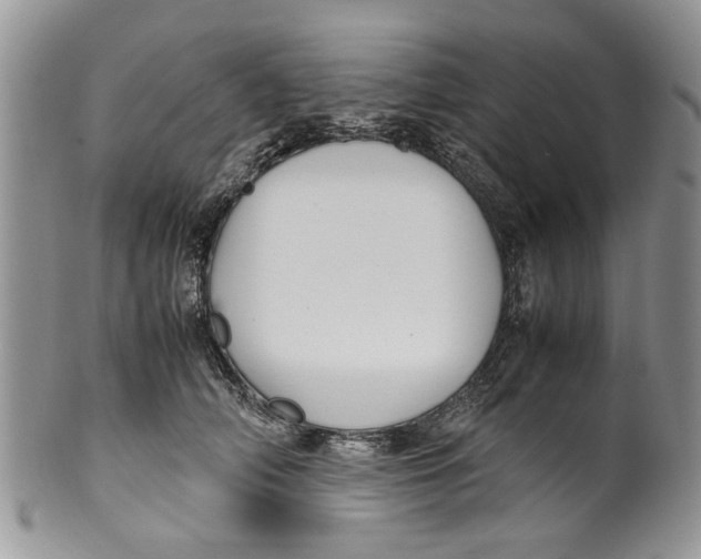 X0000099940706200806131425