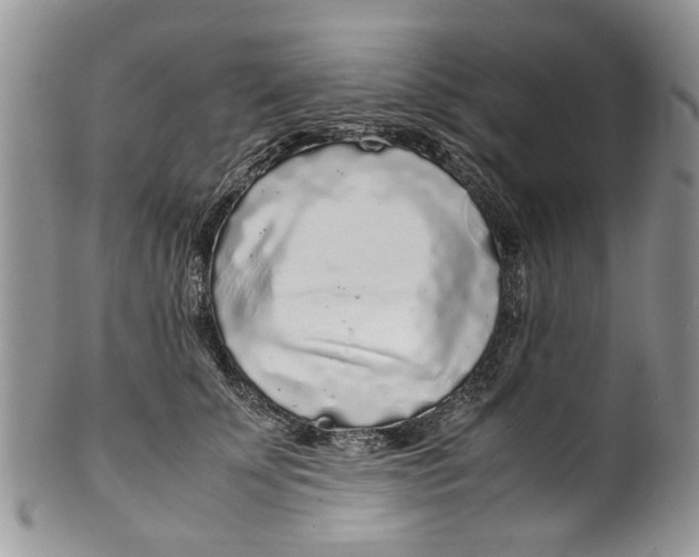 X0000099940707200806131425