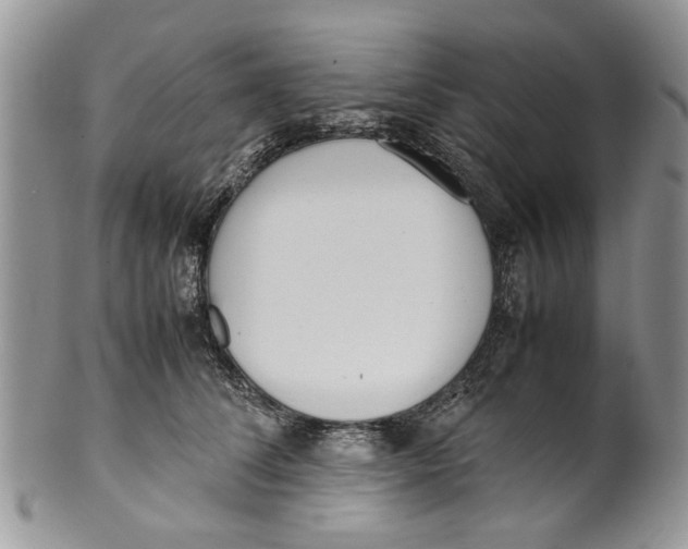 X0000099940708200806131425