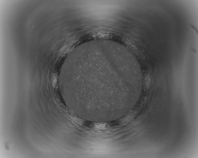 X0000099940709200806131425