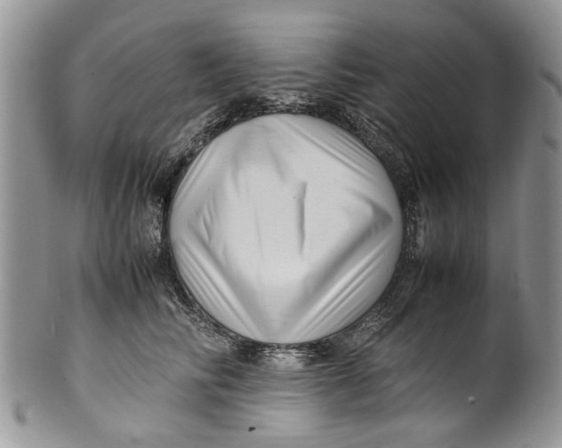 X0000099940710200806131425