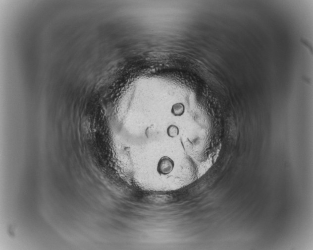 X0000099940711200806131425