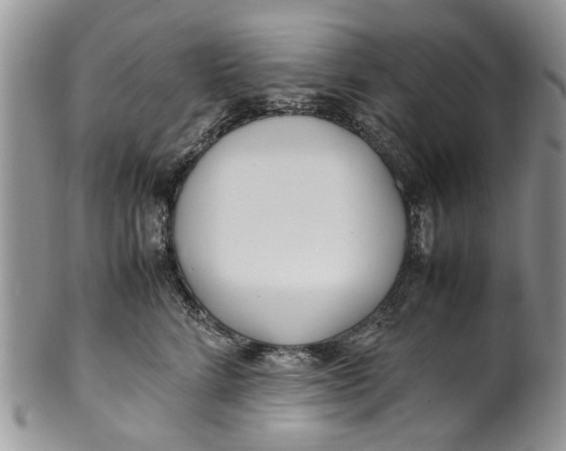 X0000099940712200806131425