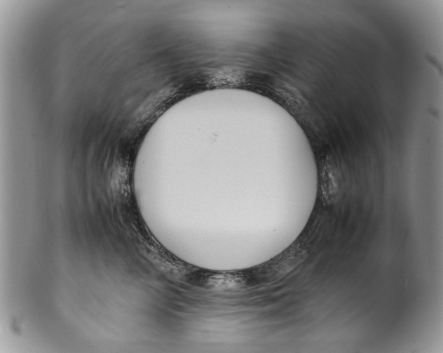 X0000099940714200806131425