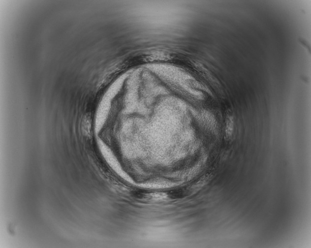 X0000099940715200806131425