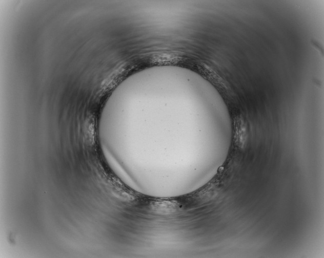 X0000099940716200806131425