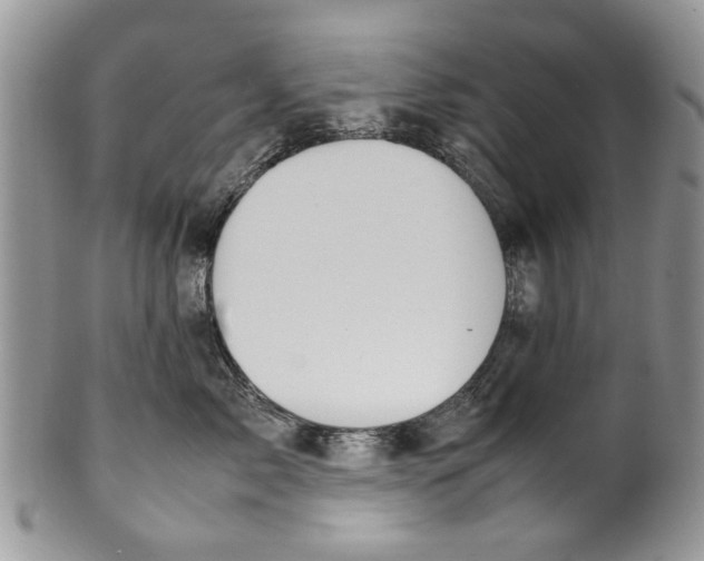 X0000099940717200806131425