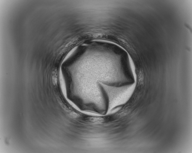 X0000099940719200806131425