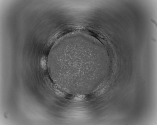 X0000099940720200806131425