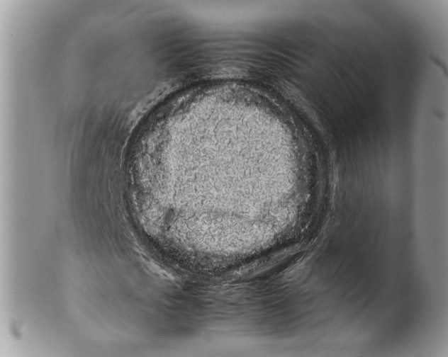 X0000099940721200806131424