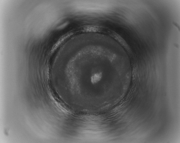 X0000099940722200806131424