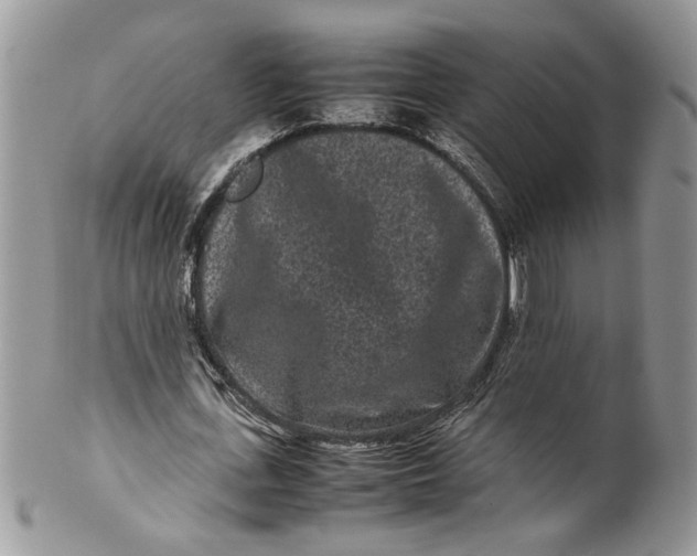 X0000099940723200806131424