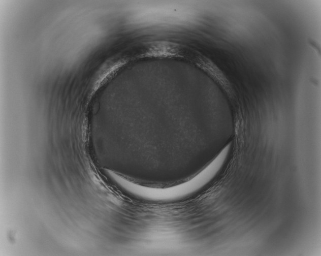 X0000099940724200806131424