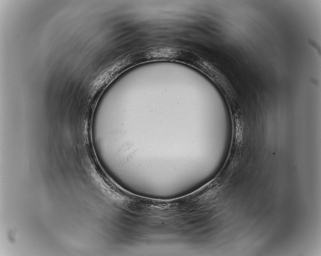 X0000099940725200806131424