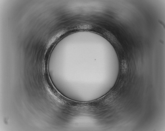 X0000099940726200806131424