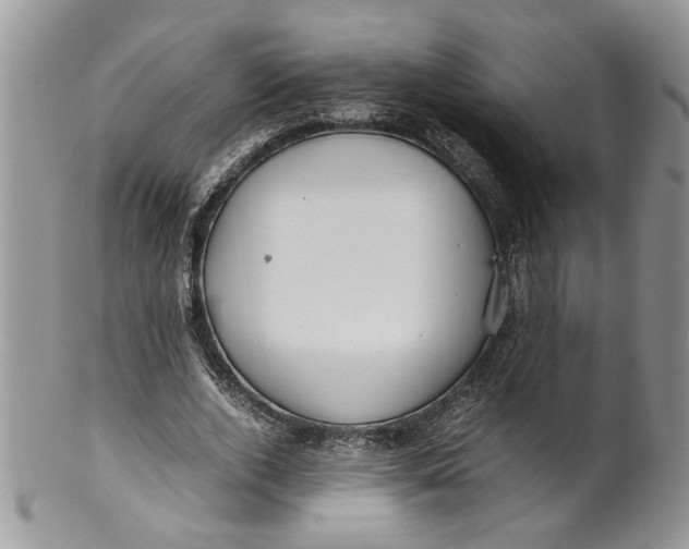 X0000099940728200806131424