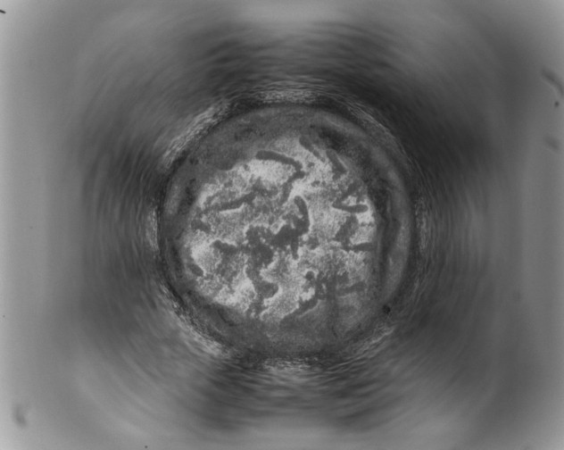 X0000099940729200806131424