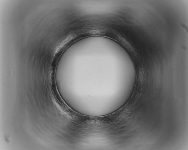 X0000099940730200806131424