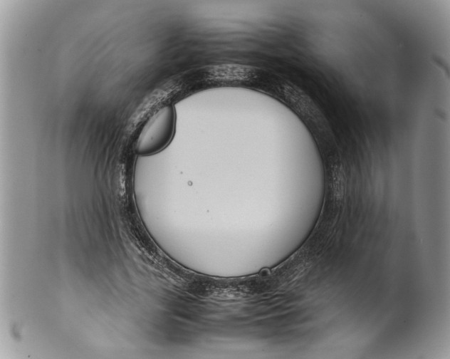 X0000099940731200806131424