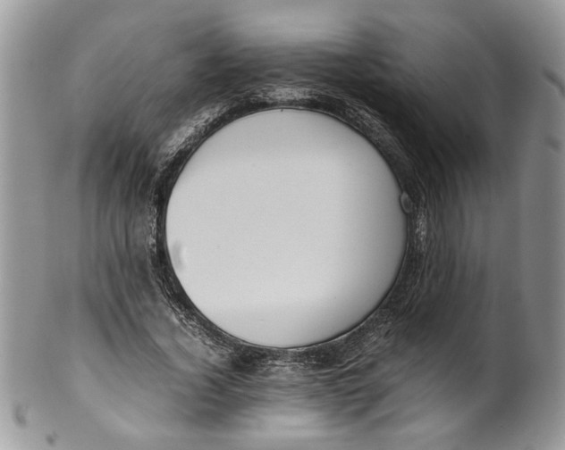 X0000099940732200806131424