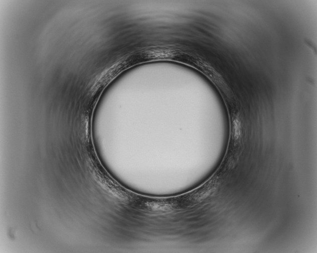 X0000099940733200806131424