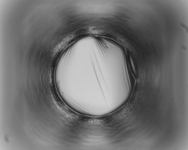 X0000099940734200806131424