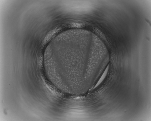 X0000099940736200806131424