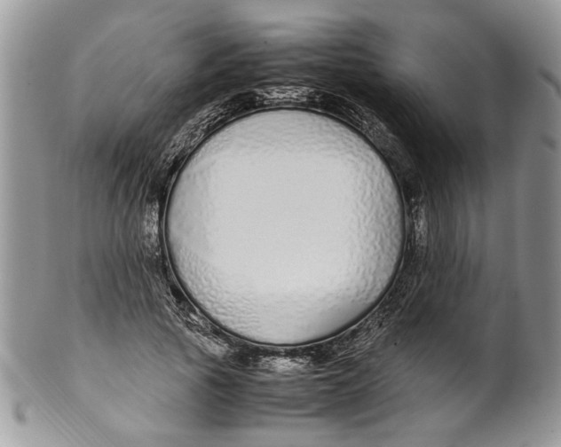 X0000099940737200806131424