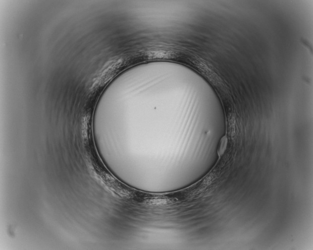 X0000099940738200806131424