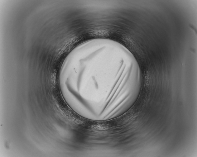 X0000099940739200806131425