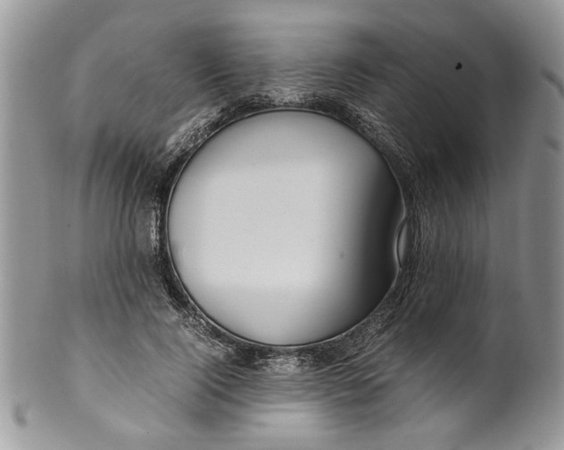 X0000099940740200806131425