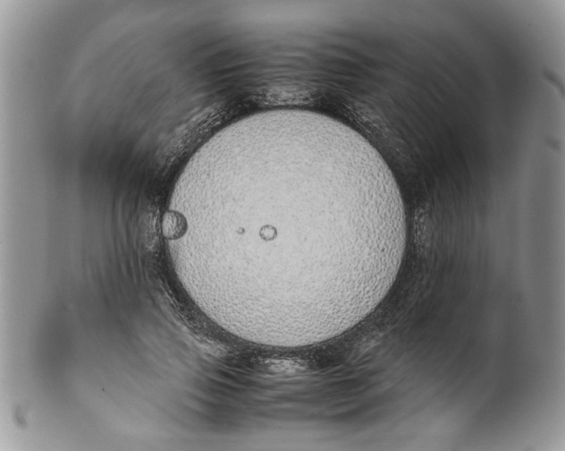 X0000099940741200806131425