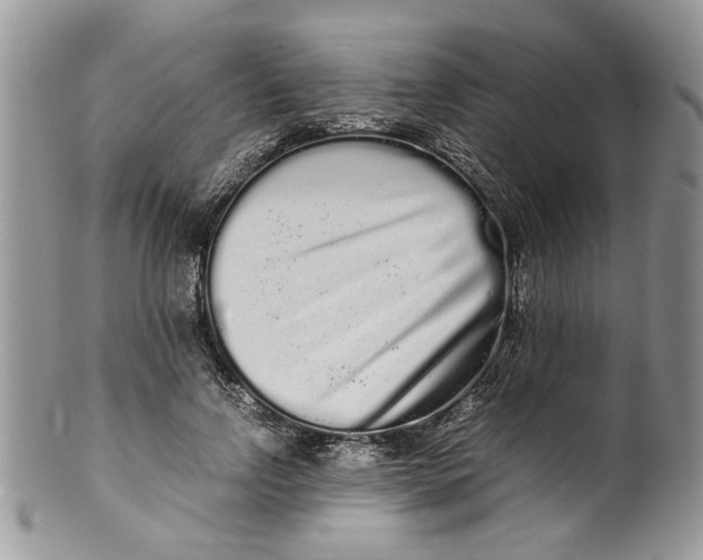 X0000099940742200806131425