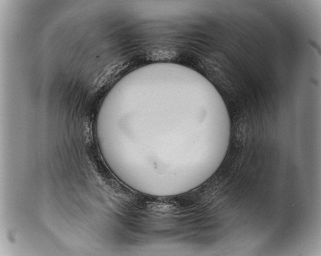 X0000099940743200806131425