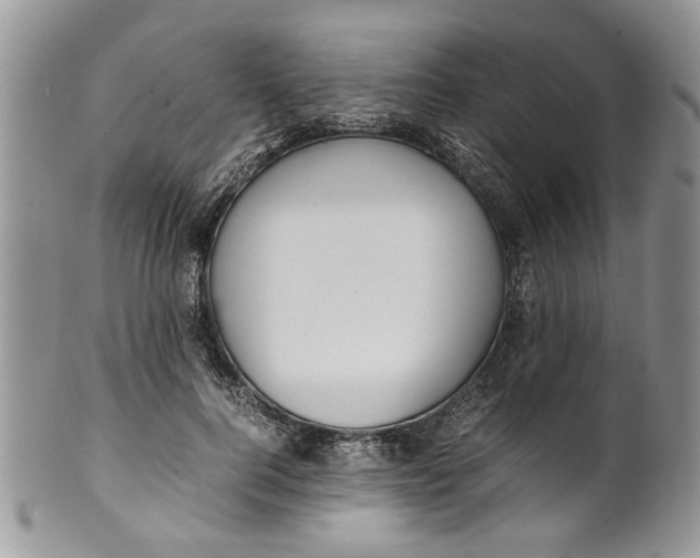 X0000099940744200806131425