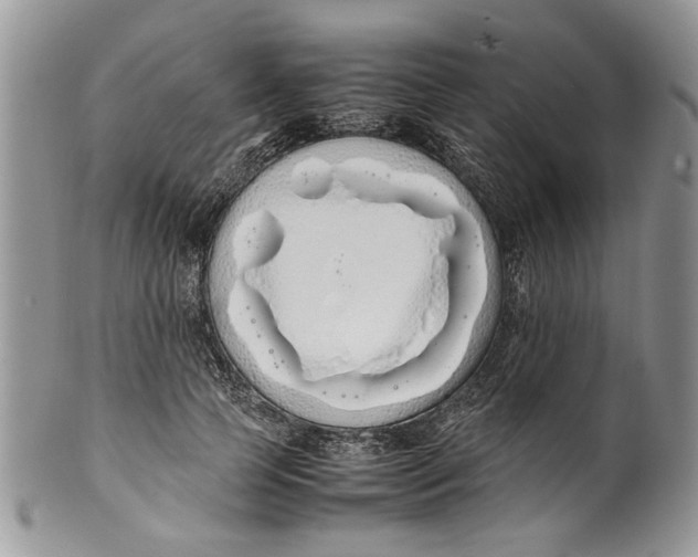 X0000099940745200806131425