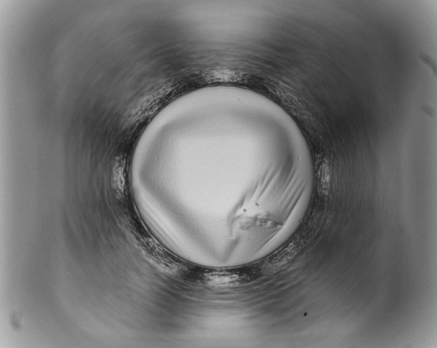 X0000099940746200806131425