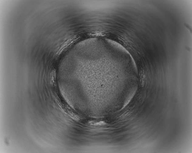 X0000099940747200806131425