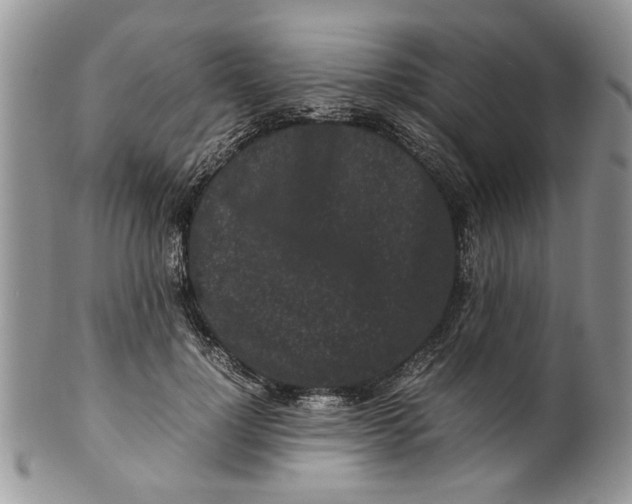 X0000099940748200806131425