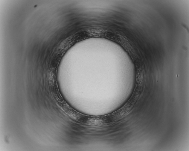 X0000099940749200806131425