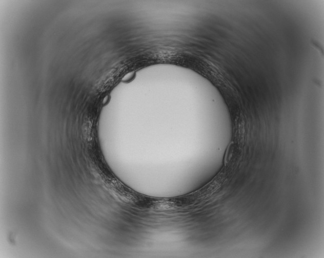 X0000099940750200806131425