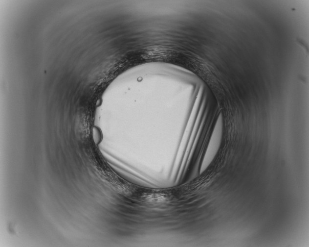 X0000099940751200806131425